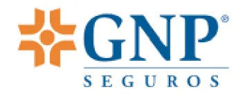 GNP