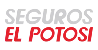 Seguros Potosí